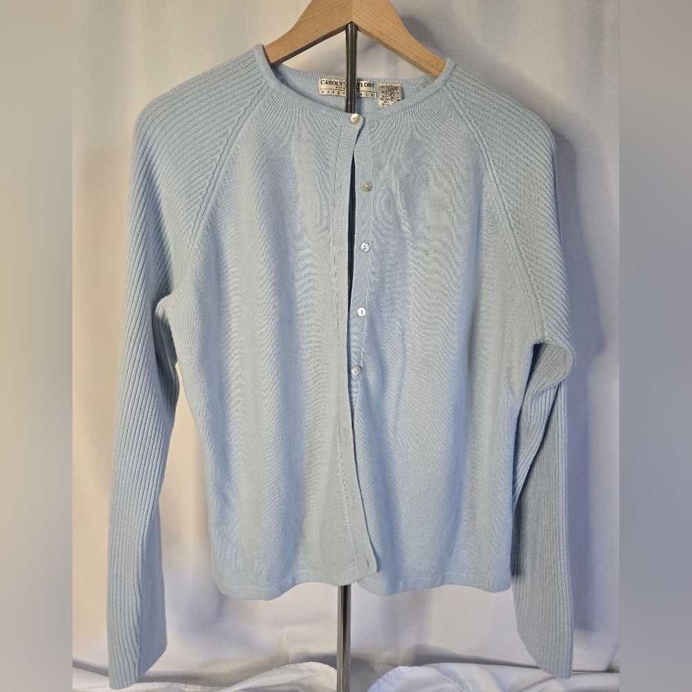 Carolyn Taylor Light Blue Button Down Cardigan Sweater | Size Large